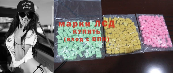 гидра Новодвинск