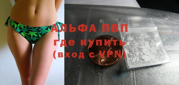 шишки Новокубанск