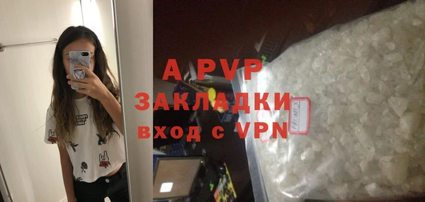 гидра Новодвинск