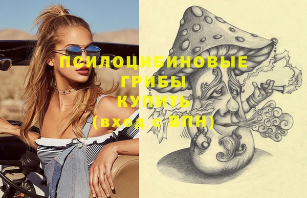шишки Новокубанск