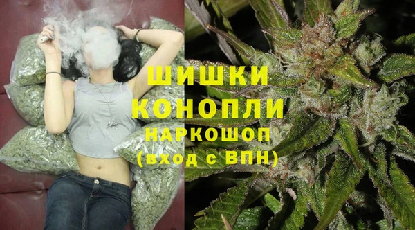 PSILOCYBIN Нефтекумск