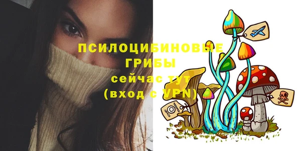 прущая мука Новозыбков