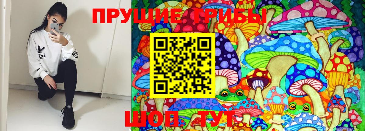 закладки  Арсеньев  Галлюциногенные грибы ЛСД 