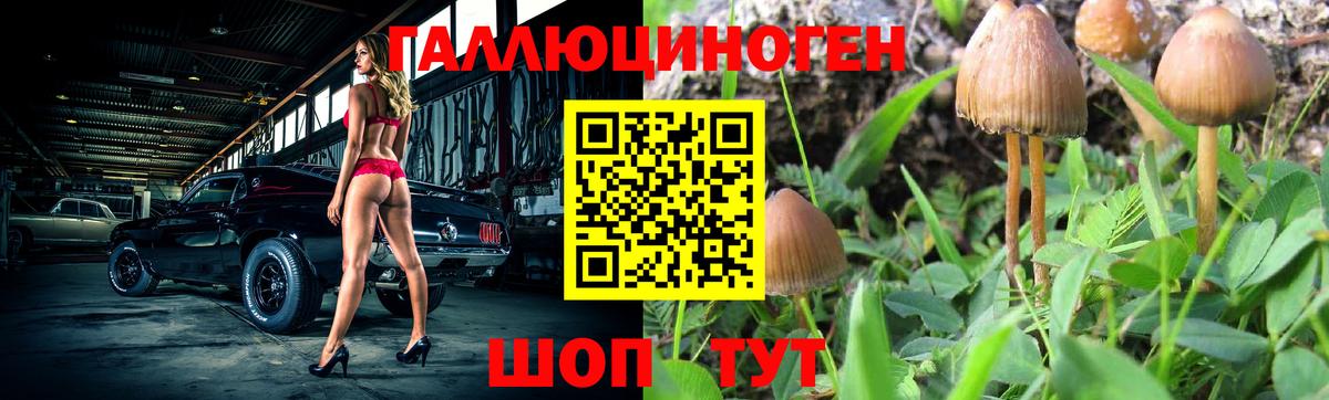 Псилоцибиновые грибы мухоморы Арсеньев
