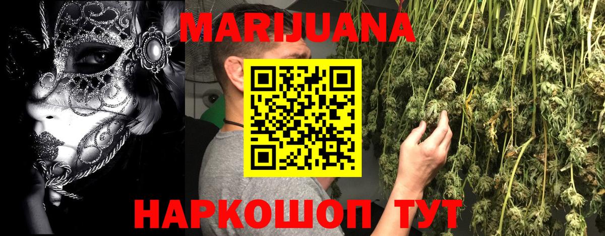 Канабис сатива Арсеньев